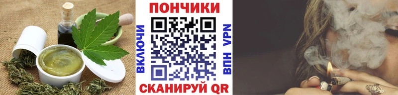 Купить закладки  Новосиль  Печенье с ТГК конопля 